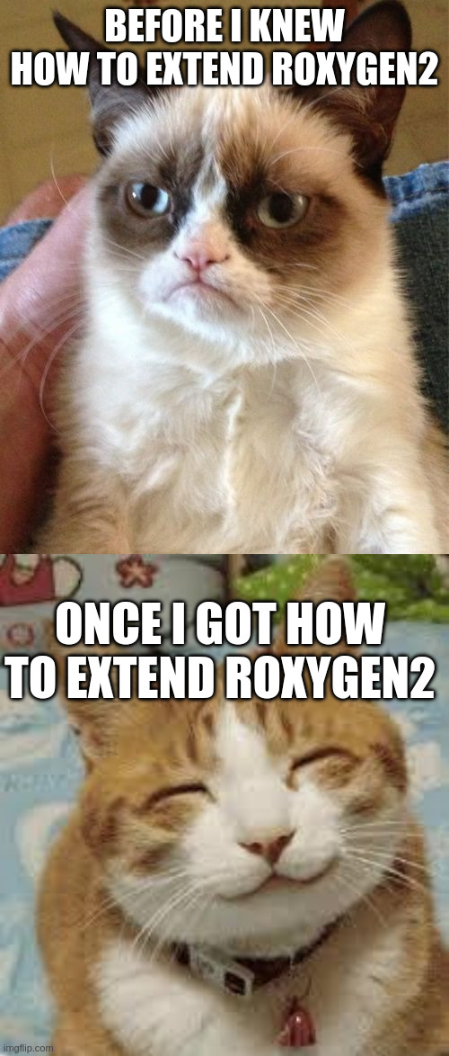 A meme. Grumpy cat: before I knew how to extend roxygen2. Happy cat: once I got how to extend roxygen2